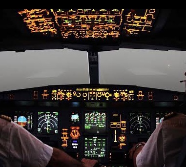THY 2. pilot arıyor