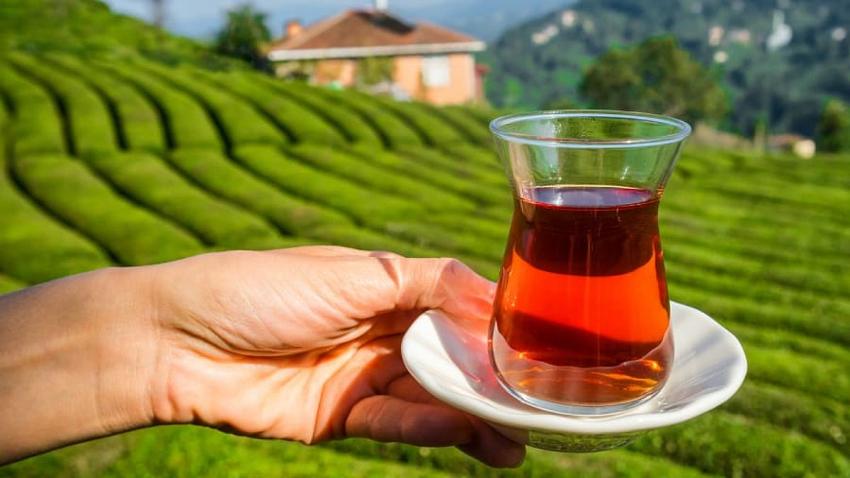 THY Rize çayını dünyaya tanıtacak