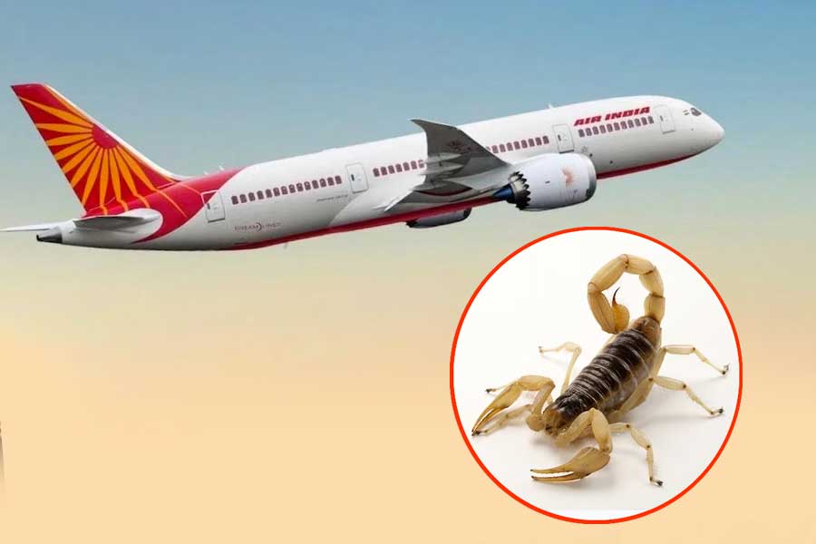 Air-India uçağında akrep yolcuyu soktu
