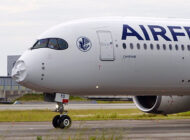Air France uçağına kuş çarptı geri döndü