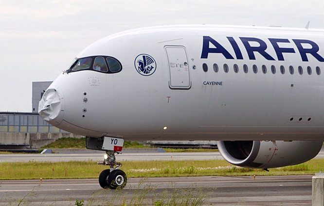 Air France uçağına kuş çarptı geri döndü