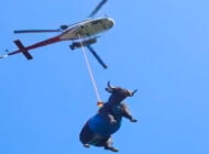 İsviçre’de ayağı kırılan inek helikopter ile tahliye edildi