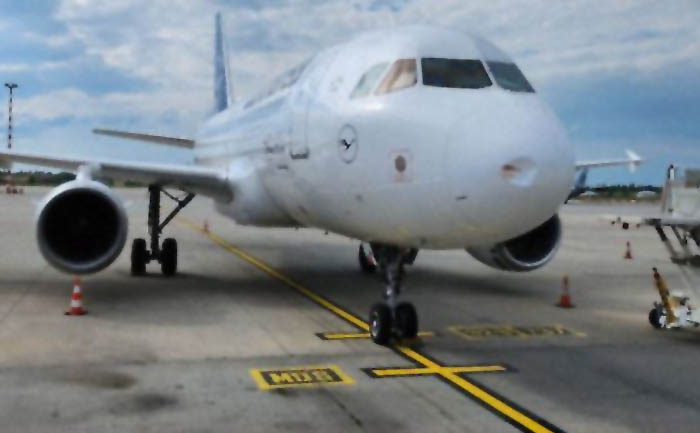 Lufthansa’nın A319 tipi uçağı kuşa çarptı
