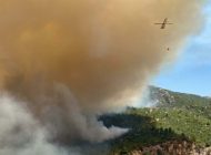 Çanakkale’de orman yangınıyla mücadele devam ediyor