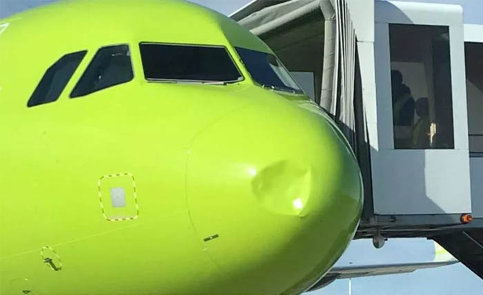 S7 Airlines’ın A320 uçağına inişte kuş çarptı