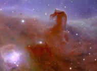 Euclid teleskobu Atbaşı Nebulası’nın ilk fotoğraflarını gönderdi