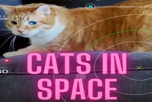 NASA, DSOC projesiyle 31 milyon kilometreden video gönderdi