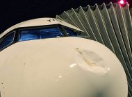 Transavia’nın 1 aylık A320neo’su kuşa çarptı