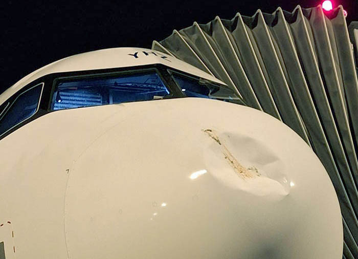 Transavia’nın 1 aylık A320neo’su kuşa çarptı