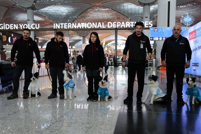 İGA İstanbul Havalimanı’nda “Terapi Köpekler” dolaşacak