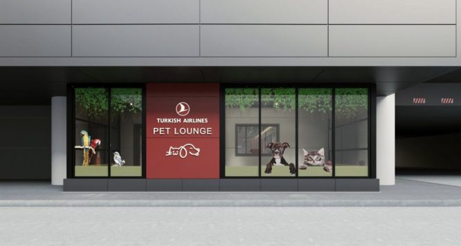 THY “PET LOUNG“ açıyor