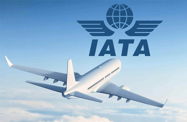 IATA bu yıl havada rekor beklediklerini açıkladı