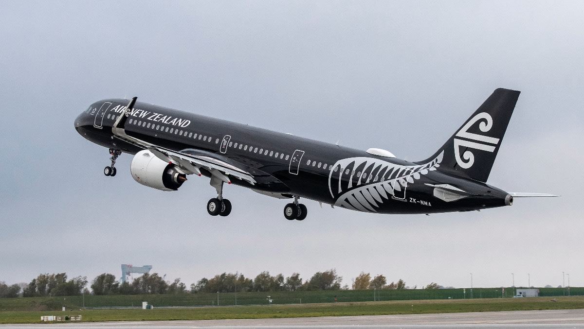A321 uçağının iki motorunada birden kuş girdi