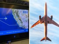 Pilot pasaportunu unuttu geri döndü