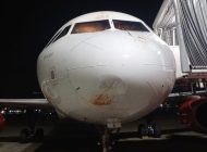 Avianca’nın A320 uçağına kalkışta kuş çarptı