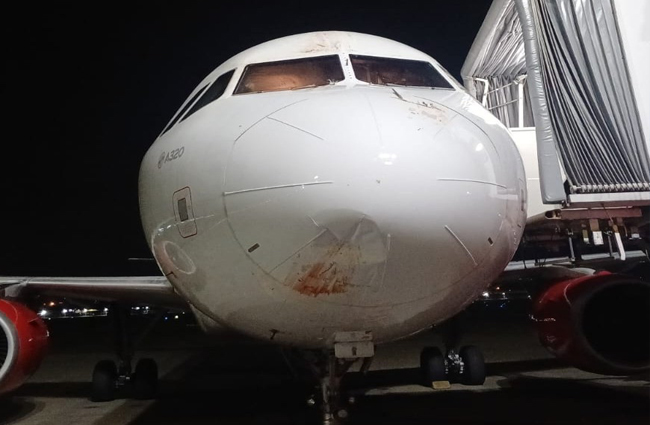 Avianca’nın A320 uçağına kalkışta kuş çarptı
