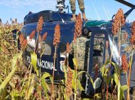 Paraguay’da polis helikopteri tarlaya acil indi