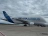 Beluga Köln’e acil indi