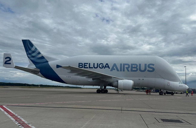 Beluga Köln’e acil indi