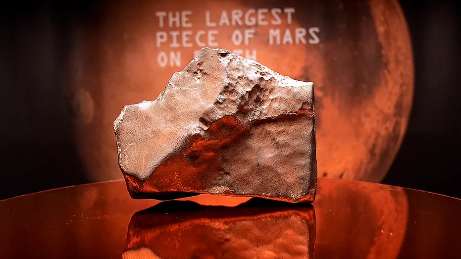 En büyük Mars meteoru parçası satışta