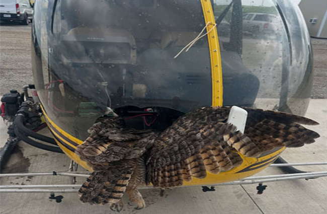Robinson R44’e baykuş çarptı