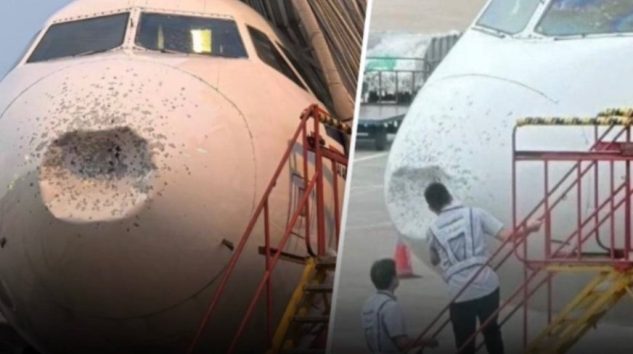 Thai AirAsia uçağı doluya yakalandı