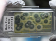 Uzayda bakterilerin direnci ölçülecek