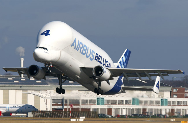 Beluga’nın 4 numarası emekliye ayrıldı