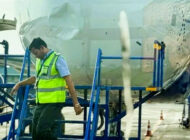 İndigo uçağı A320neo kalkışta kuşa çarptı