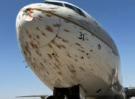 B777-300 Cidde inişinde kuş sürüsüne çarptı