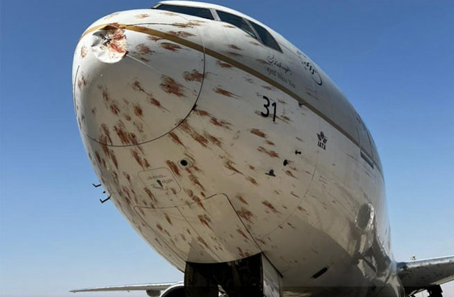 B777-300 Cidde inişinde kuş sürüsüne çarptı