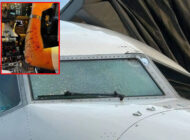 Boeing 737 MAX’a balon çarpmış