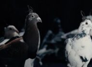 Rusya biyo-drone güvercin ürettiğini duyurdu