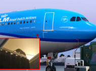 KLM uçağına davetsiz misafir girdi