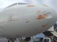 A320 Mitiga Havalimanı’nda kuş sürüsüne girdi