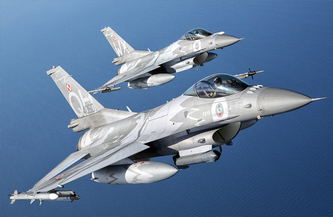 Polonya Rus keşif uçağını hava sahasınan uzaklaştırdı