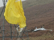 İngiltere’de Cirrus kaza yaptı; 2 kişi hayatını kaybetti