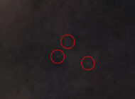 ABD’deki görüntüler tartışma yarattı