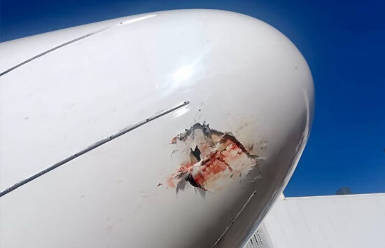 Bolivya’da B737-700’e inişte kuş çarptı