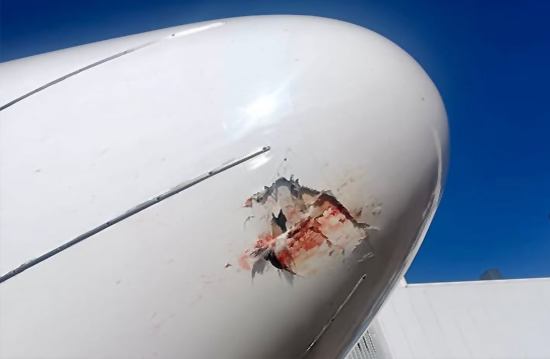 Bolivya’da B737-700’e inişte kuş çarptı