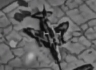 İsrail İran’ın F-4 ve F-5 uçaklarını yerde vurdu