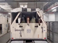 Bir çok safkan yarış atı Katar’dan tahliye ediliyor