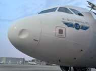 Nijerya’da 48 saat içinde üç uçağa kuş çarptı