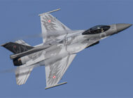 Polonya Rus uçağına müdahale etti