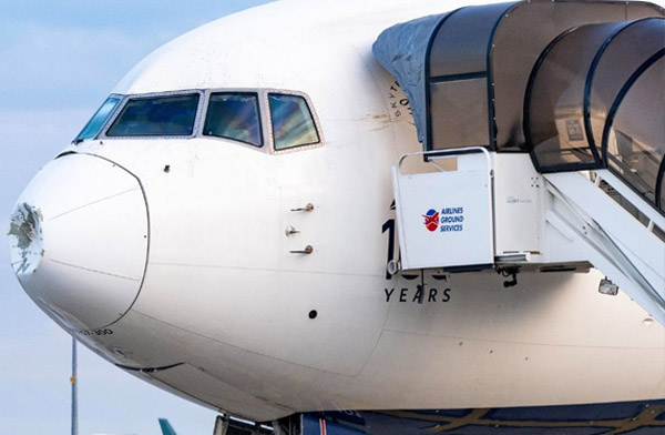 Delta’nın B767-300ER uçağı kalkışta kuş sürüne çarptı