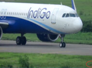 IndiGo uçağını takside tilki durdurdu