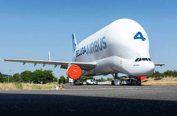Beluga ST 4 müzede