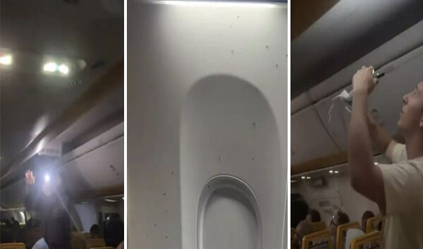 Ryanair uçağını sivrisinekler bastı