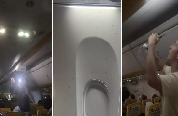 Ryanair uçağını sivrisinekler bastı