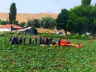 Ankara Sincan’da R44 düştü